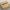 SHAFT ASSEMBLY